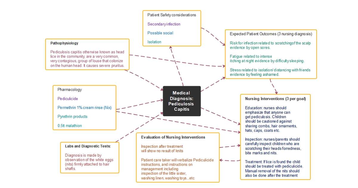 nursing concept map example 02