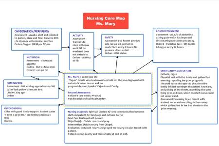 Nursing concept map example 2