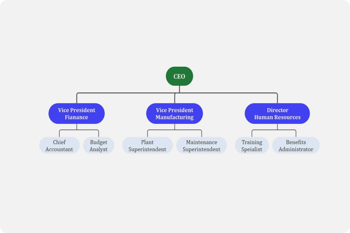 company organization chart