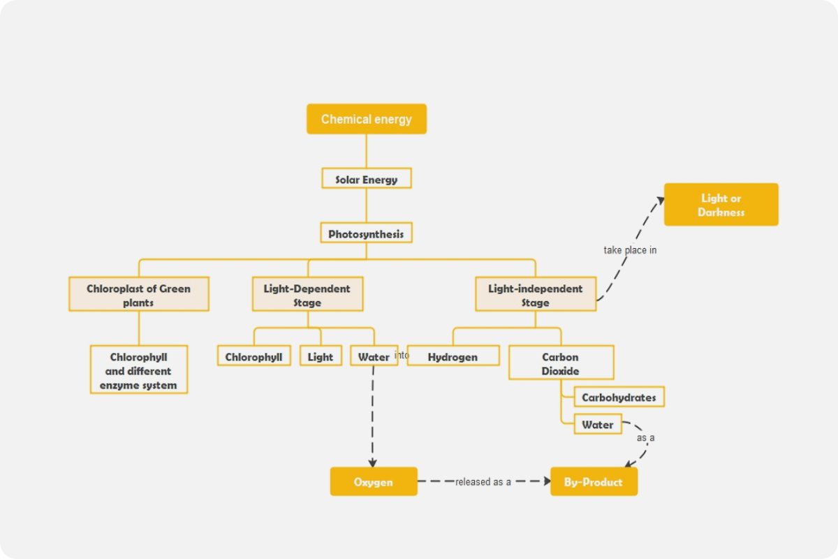 Photosynthesis Concept Map Template EdrawMind