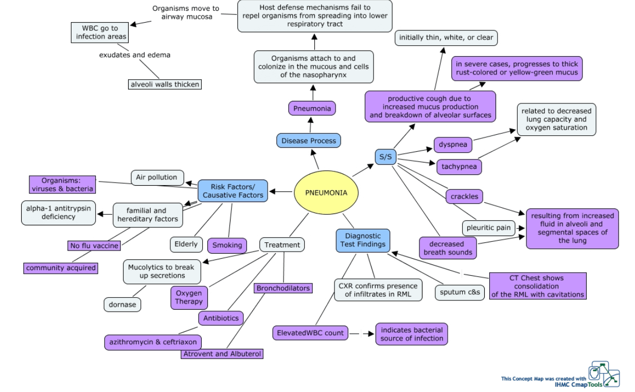 pneumonia concept map example 01