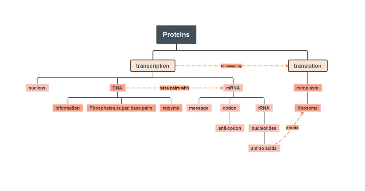 Protein concept map example 1