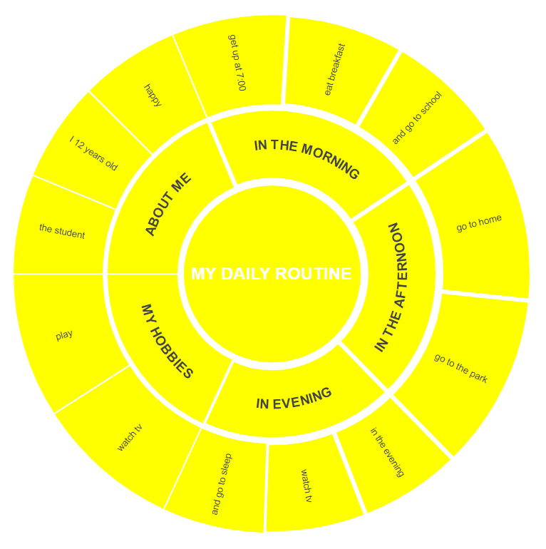 Daily Routine Radial Map