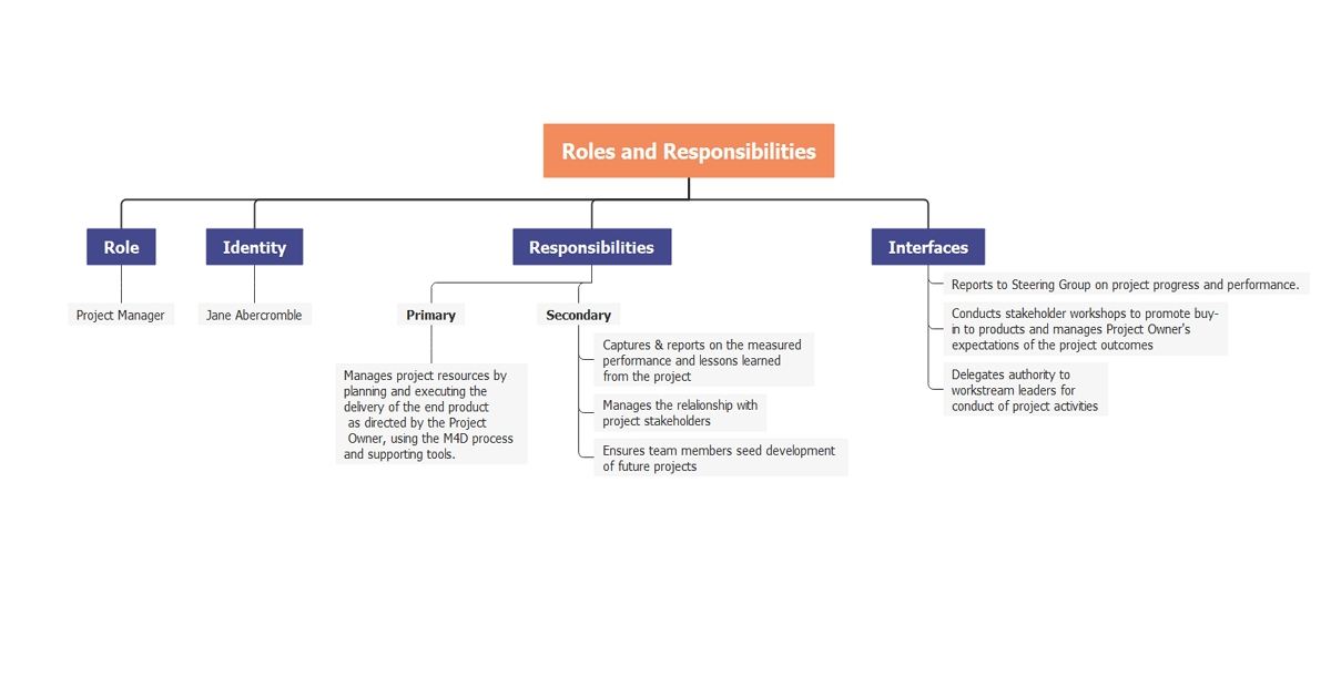 Roles and responsibilities example 1